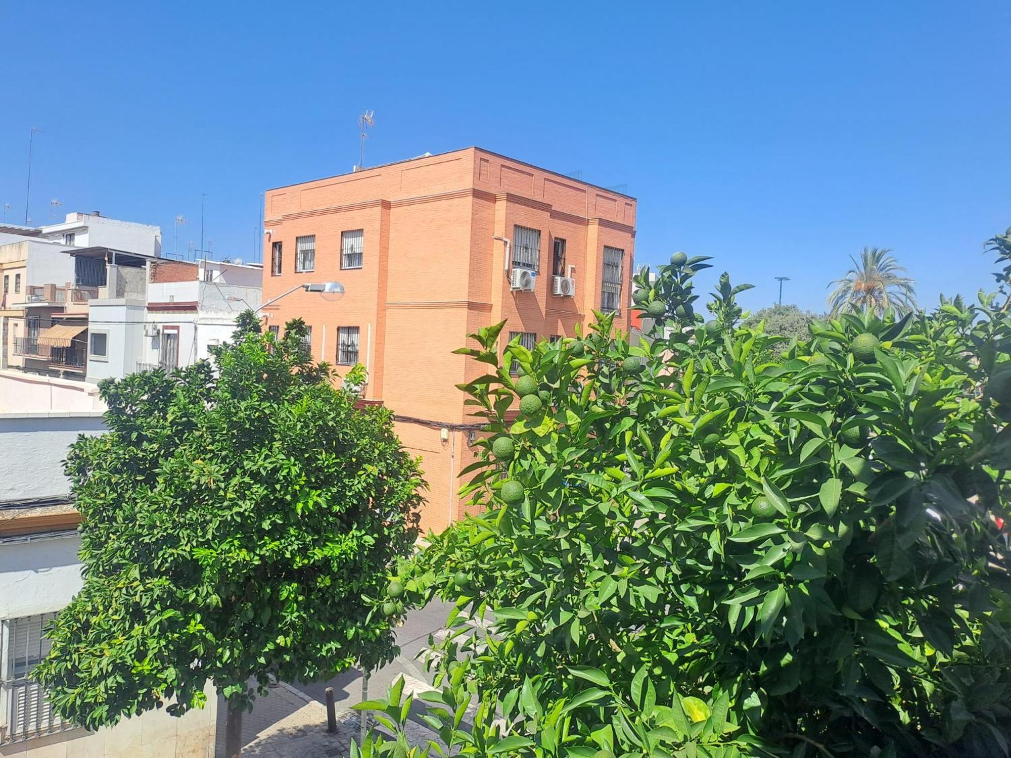 Casa Salma Habitación en casa particular